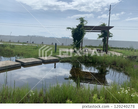 bench pond plants gardening nature sky 120240278