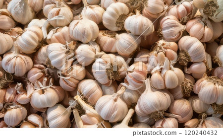 AI image: A pile of garlic 120240432