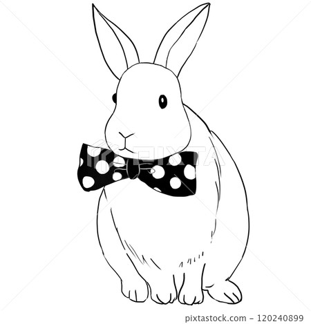 Monochrome line drawing of a rabbit facing forward and wearing a ribbon Monochrome line drawing of a rabbit facing forward and wearing a ribbon 120240899