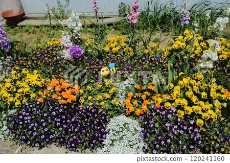 Arao City Omoyai Citizen Flower Bed, Arao City Omoyai Citizen Flower Bed, 120241160