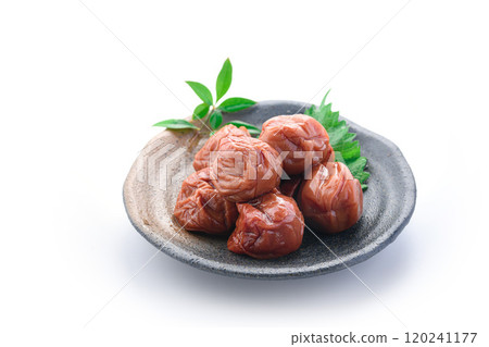 醃李子 紀州南高李子(白底) 醃李子 紀州南高李子(白底) 120241177