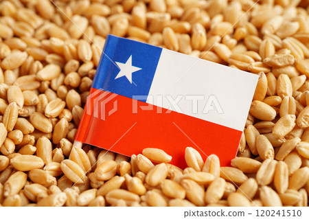 Chile flag on grain wheat, trade export and economy concept. Chile flag on grain wheat, trade export and economy concept. 120241510