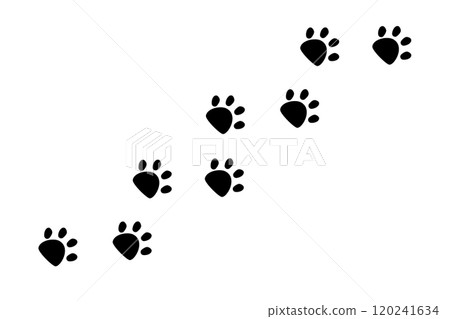Paw print, dog or cat walk foot trace border. Pet footsteps trail. Simple silhouette step line. Cute marks on white background. 120241634