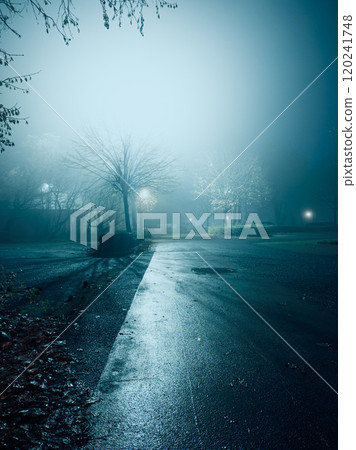 Misty Night Street Scene with Dim Streetlights 120241748