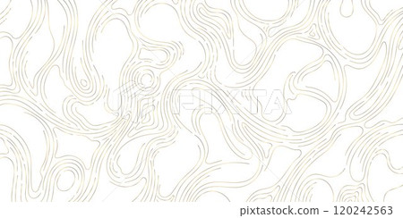 Vector gold line wood texture illustration, organic shape wave pattern, abstract luxury tree graphic, trunk circles, topography map background. Vector gold line wood texture illustration, organic shape wave pattern, abstract luxury tree graphic, trunk circles, topography map background. 120242563