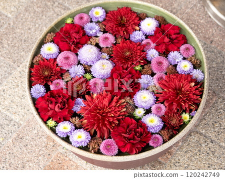 Colorful floating flowers 120242749