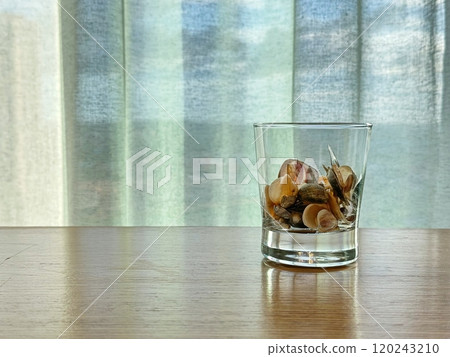 Copyspace with glass of shells on wood table Copyspace with glass of shells on wood table 120243210