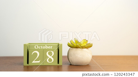 The October 28 wooden calendar and a succulent flower are on the table. Autumn month, day of the year concept The October 28 wooden calendar and a succulent flower are on the table. Autumn month, day of the year concept 120243347