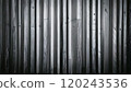 Modern monochrome stripes 02 120243536