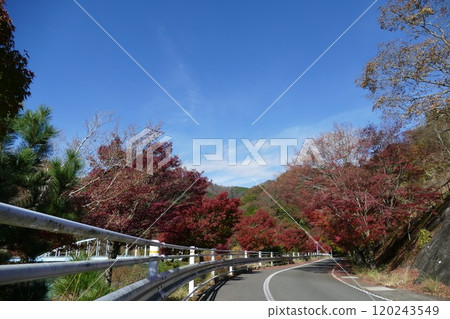 丹澤湖及週邊地區 丹澤湖及週邊地區 120243549