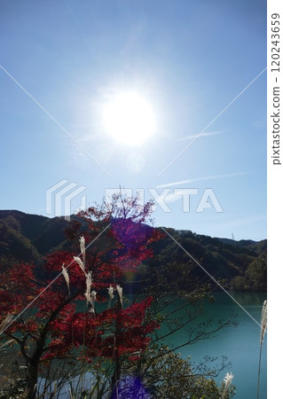 Lake Tanzawa and surrounding areas Lake Tanzawa and surrounding areas 120243659