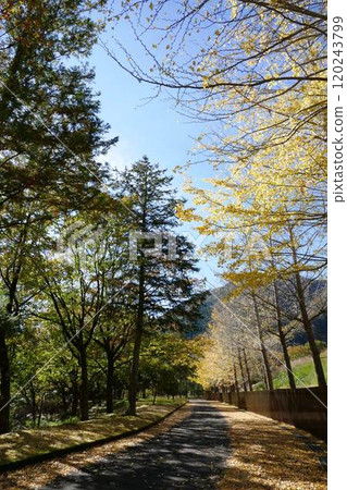 Lake Tanzawa and surrounding areas Lake Tanzawa and surrounding areas 120243799