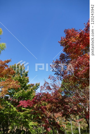 Lake Tanzawa and surrounding areas Lake Tanzawa and surrounding areas 120243942