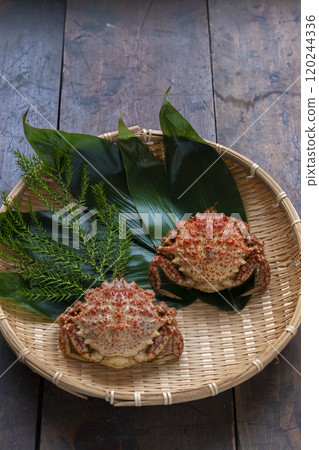 漏勺中的刺蟹 漏勺中的刺蟹 120244336