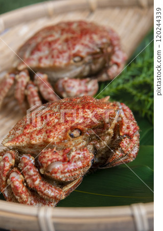 漏勺中的刺蟹 漏勺中的刺蟹 120244339