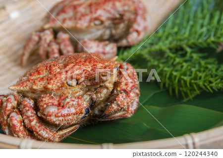 漏勺中的刺蟹 120244340