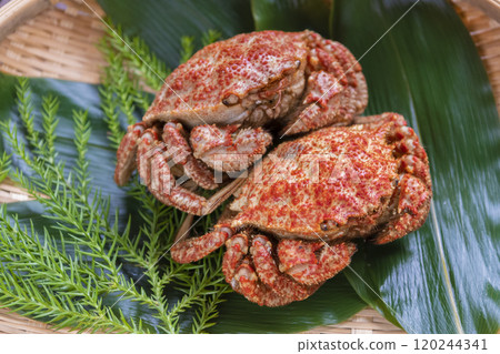 Spiny crab served in a colander 120244341