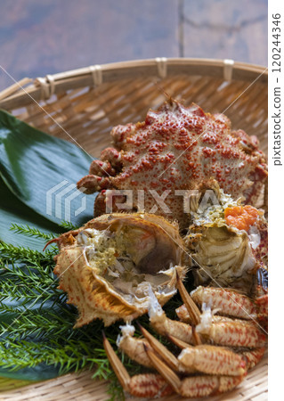 漏勺中的刺蟹 120244346