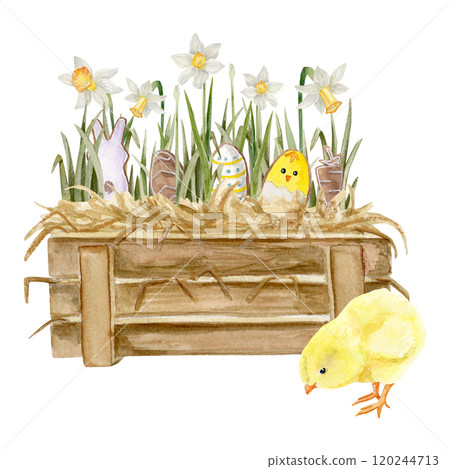 Watercolor composition with a wooden box with hay, narcisuss, Easter gingerbread and a chick inside 120244713