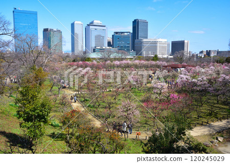 Osaka Castle Park Bairin 120245029