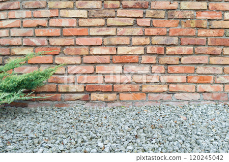 Red brick wall with green plant and gravel foreground 120245042