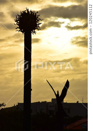 黃昏時閃耀的太陽和鳳凰物體 120245112