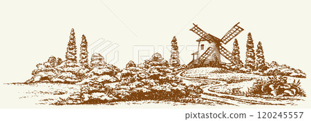 Vector drawing. Old mill in the field Vector drawing. Old mill in the field 120245557