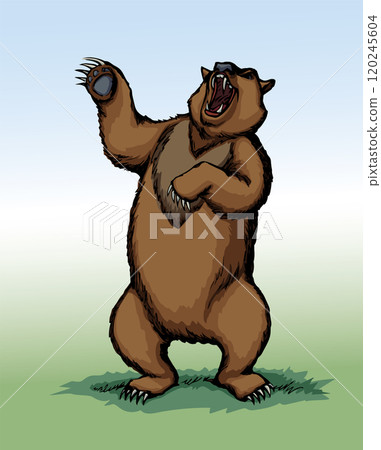 Vector drawing. An angry bear stands and growls Vector drawing. An angry bear stands and growls 120245604