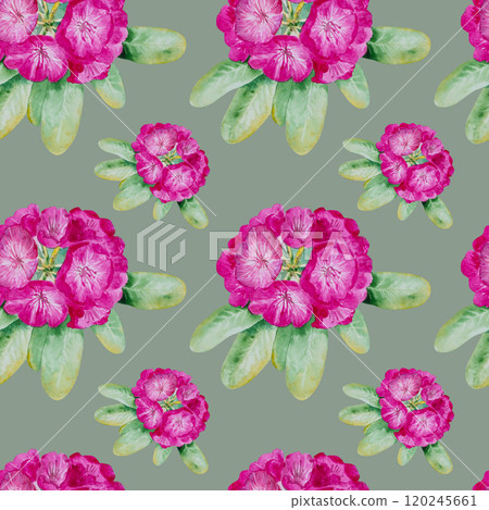 Watercolor illustrations seamless pattern with pink rhododendron flowers. Hand painted watercolor spring seamless pattern with rhododendron bouquet Watercolor illustrations seamless pattern with pink rhododendron flowers. Hand painted watercolor spring seamless pattern with rhododendron bouquet 120245661