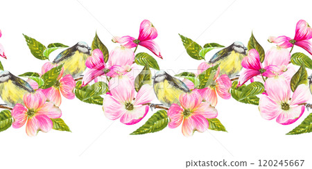 Seamless border.Watercolor illustration, titmouse sitting on a flowering dogwood branch, with beautiful pink flowers. Hand painted watercolor seamless spring pattern 120245667