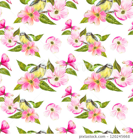 Seamless pattern.Watercolor illustration, titmouse sitting on a flowering dogwood branch, with beautiful pink flowers. Hand painted watercolor seamless spring pattern 120245668
