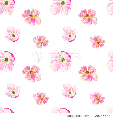 Seamless pattern.Watercolor illustration with beautiful pink dogwood flowers. Hand painted watercolor seamless spring pattern,seamless pattern with flowers 120245678