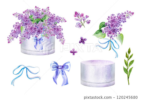 Watercolor illustration set of a bouquet with lilac branches with a cute bow in a box. Hand painted watercolor spring set with a bouquet of lilacs 120245680