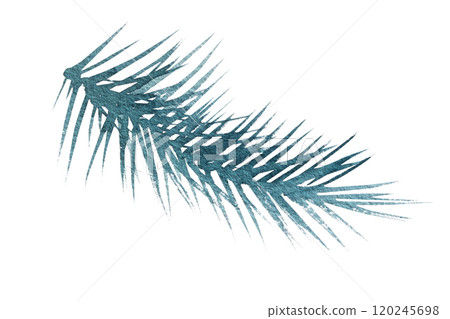 Watercolor illustration of a Christmas tree branch with pine cones, handmade drawing 120245698