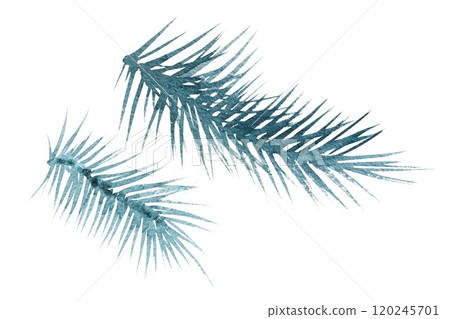 Watercolor illustration of a Christmas tree branch with pine cones, handmade drawing 120245701