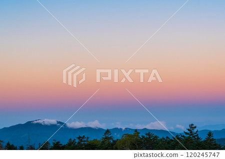 金星腰帶 120245747