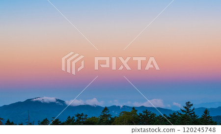 金星腰帶 120245748