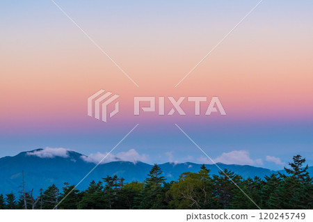 金星腰帶 120245749