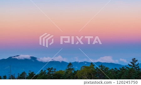 金星腰帶 120245750