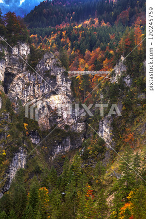 Marienbrucke, Neuschwanstein Castle, Fussen, Germany 120245759