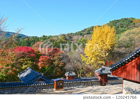 秋天的南漢山城 - 秋葉和賢節神社 [韓國/京畿道] 120245766