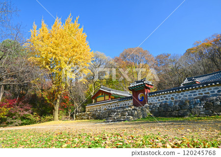 秋天的南漢山城和顯節寺 [韓國/京畿道] 120245768