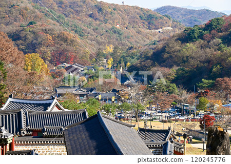 從南漢山城看市中心 [韓國/京畿道] 120245776