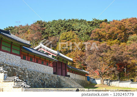 秋天 南漢山城宮/漢南塔 [韓國/京畿道] 120245779