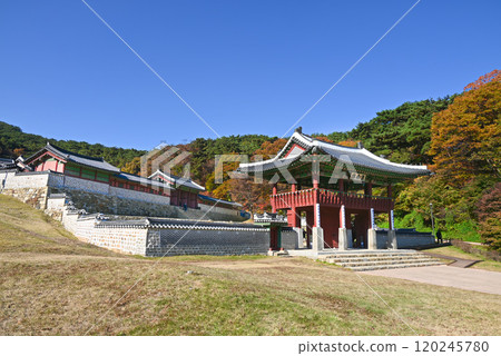 秋天 南漢山城宮/漢南塔 [韓國/京畿道] 120245780