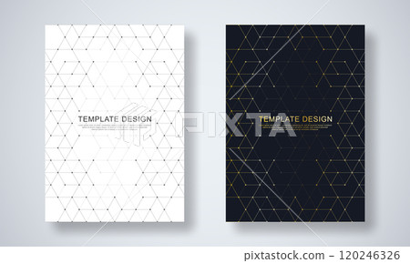 Abstract geometric background with hexagons shape pattern for a business brochure or cover book, page layout, flyer design, and poster template 120246326