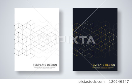 Abstract geometric background with hexagons shape pattern for a business brochure or cover book, page layout, flyer design, and poster template Abstract geometric background with hexagons shape pattern for a business brochure or cover book, page layout, flyer design, and poster template 120246347