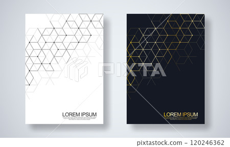 Abstract geometric background with hexagons shape pattern for a business brochure or cover book, page layout, flyer design, and poster template 120246362