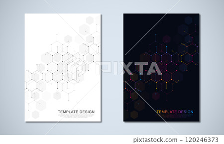 Abstract geometric background with hexagons shape pattern for a business brochure or cover book, page layout, flyer design, and poster template Abstract geometric background with hexagons shape pattern for a business brochure or cover book, page layout, flyer design, and poster template 120246373