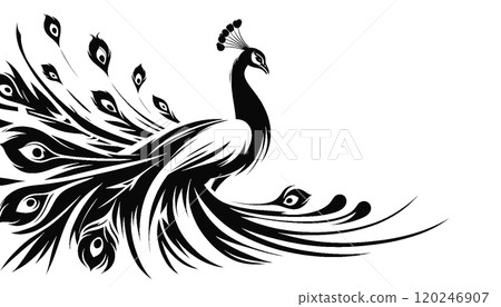 Simple peacock (transparent background) 120246907